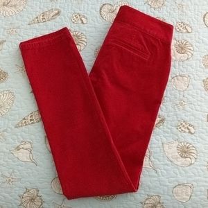 Loft red velvet straight leg pant